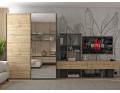 Šatní skříň s posuvnými dveřmi Doros G-Caiser Antracit / Dub Evok 1 dveře  / 1 zrcadlo / 3 části 160x60x240 (42005413)